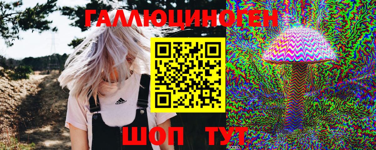Галлюциногенные грибы MAGIC MUSHROOMS Гай