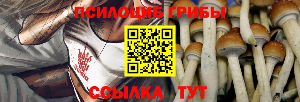 Гай  Галлюциногенные грибы мухоморы  Вход с VPN 